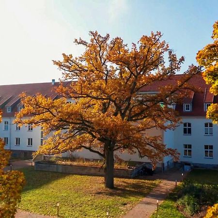 Parkresidenz Lychen, Ferienwohnung 8 Екстер'єр фото