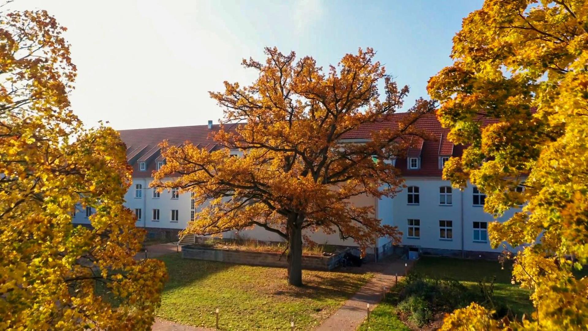 Parkresidenz Lychen, Ferienwohnung 8 Екстер'єр фото